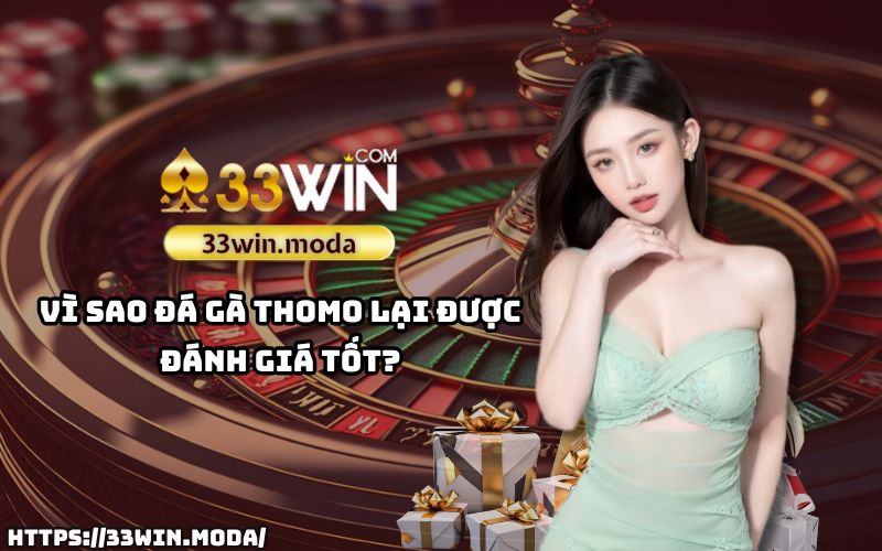 Đá gà Thomo 33Win – Nơi hội tụ đẳng cấp và uy tín của giới đam mê gà chiến Đá gà Thomo 33Win – Nơi hội tụ đẳng cấp và uy tín của giới đam mê gà chiến