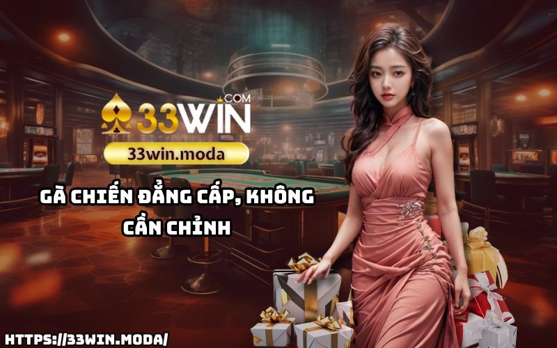 Đỉnh cao gà chiến tại Đá gà Thomo 33Win – Bản lĩnh của những chú gà không thể xem nhẹ Đỉnh cao gà chiến tại Đá gà Thomo 33Win – Bản lĩnh của những chú gà không thể xem nhẹ
